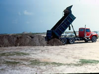 Biorremediação de solo